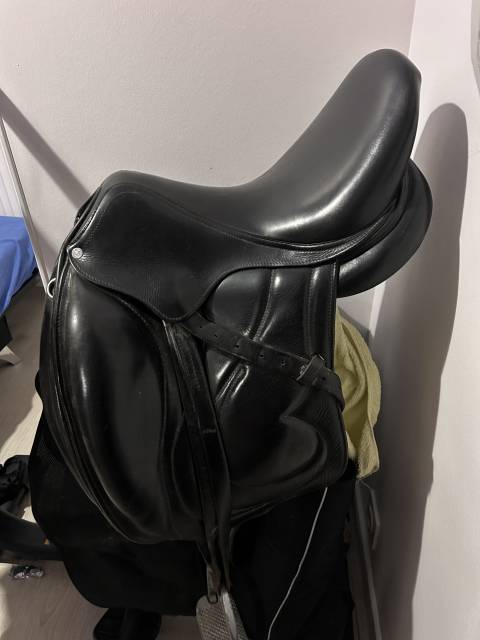 Sella da dressage Antarès  16.5" - 2015