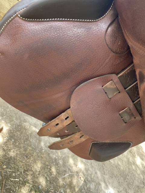 Sella da salto ostacoli Equipe  17" - 2024