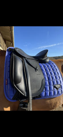 Sella da dressage Passier  17.5" - 2023