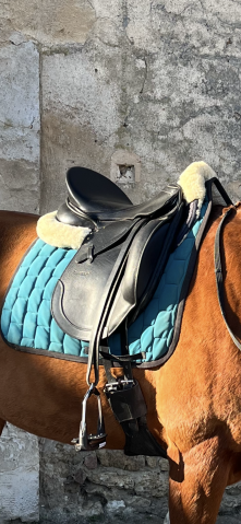 Sella da dressage Passier  17.5" - 2023