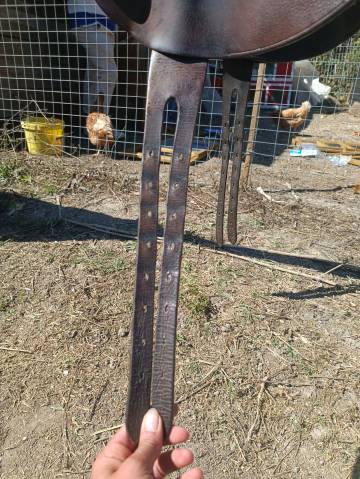 Sella da salto ostacoli Forestier  17.5" - 2014