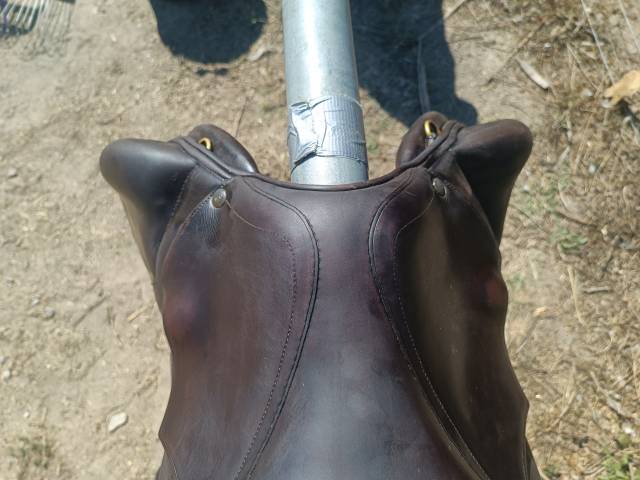 Sella da salto ostacoli Forestier  17.5" - 2014