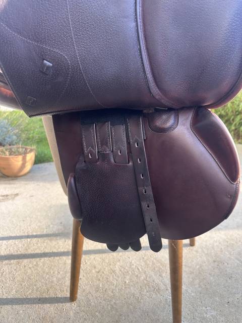 Sella da salto ostacoli Amerigo  17.5" - 2017