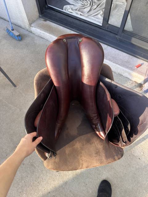 Sella da salto ostacoli Amerigo  17.5" - 2017