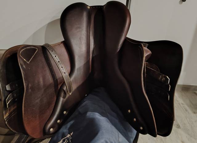 Sella da salto ostacoli Antarès  17" - 2023