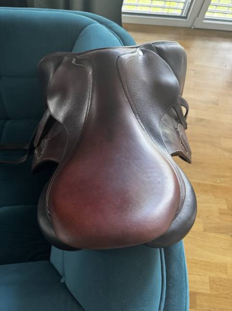 Sella da salto ostacoli Antarès  17.5" - 2019