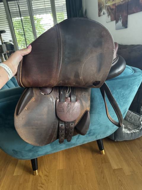 Sella da salto ostacoli Antarès  17.5" - 2019