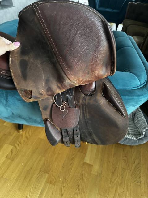 Sella da salto ostacoli Antarès  17.5" - 2019