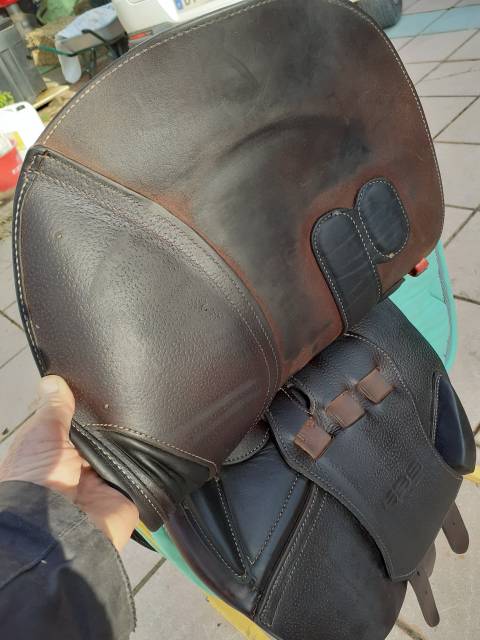 Sella da salto ostacoli GBS  17" - 2019