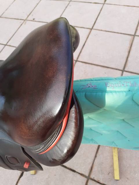 Sella da salto ostacoli GBS  17" - 2019