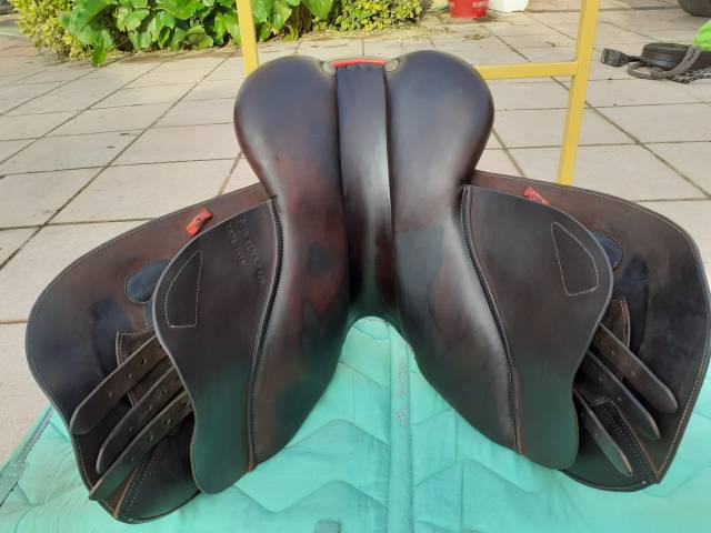 Sella da salto ostacoli GBS  17" - 2019