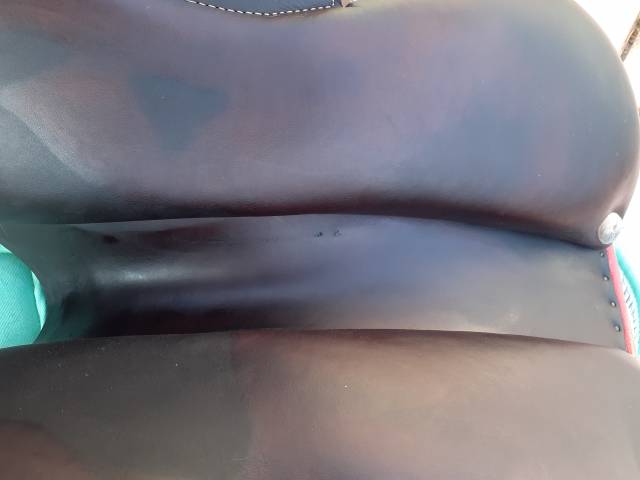 Sella da salto ostacoli GBS  17" - 2019