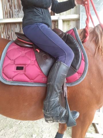 Sella da salto ostacoli GBS  17" - 2019