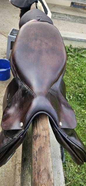 Sella da salto ostacoli Butet  18" - 2019