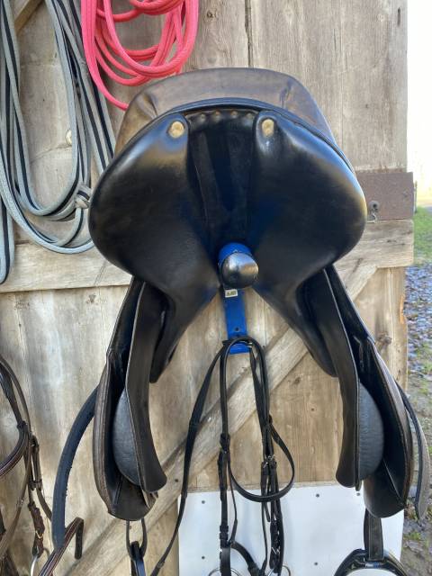 Sella antica   17.5" - 2000