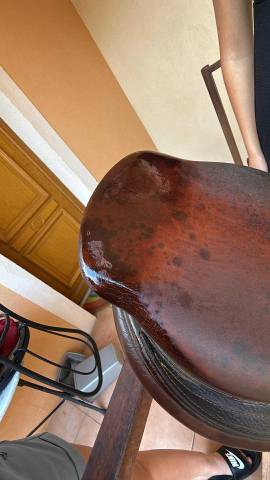 Selle primo Prezzo Delgrange Pas la connaissance  17.5" - 2008