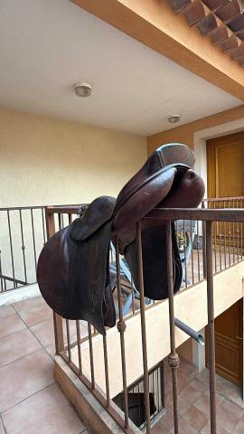 Selle primo Prezzo Delgrange Pas la connaissance  17.5" - 2008