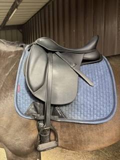 Sella da dressage Wintec  17.5" - 2025