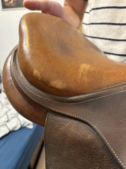 Sella da salto ostacoli CWD  15.5" - 2019