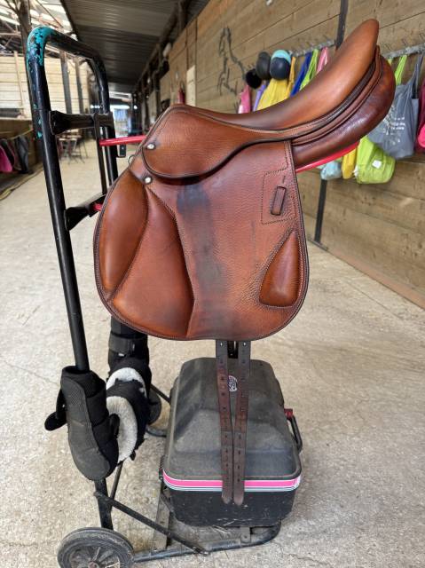 Sella da cross Renaissance  17" - 2021