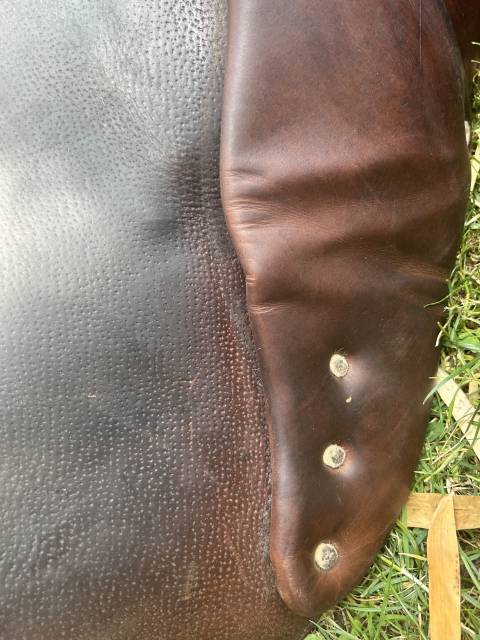 Sella mista Antarès  17.5" - 2013