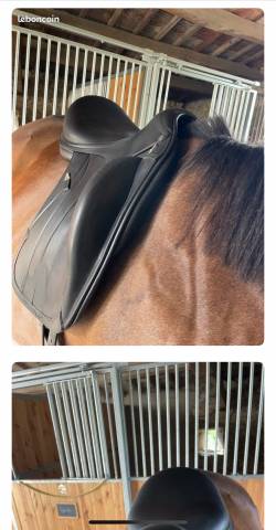 Sella da dressage Equipe  17.5" - 2022