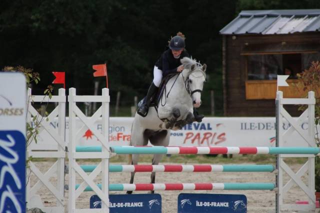 Castrone PFS Pony Francese da Sella Noleggio 2011 Grigio