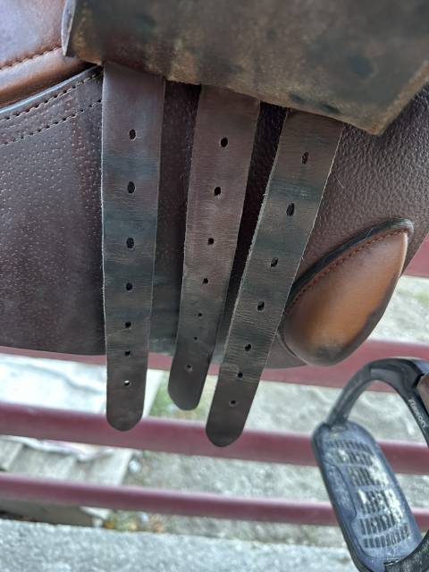 Sella da salto ostacoli GBS  17.5" - 2021