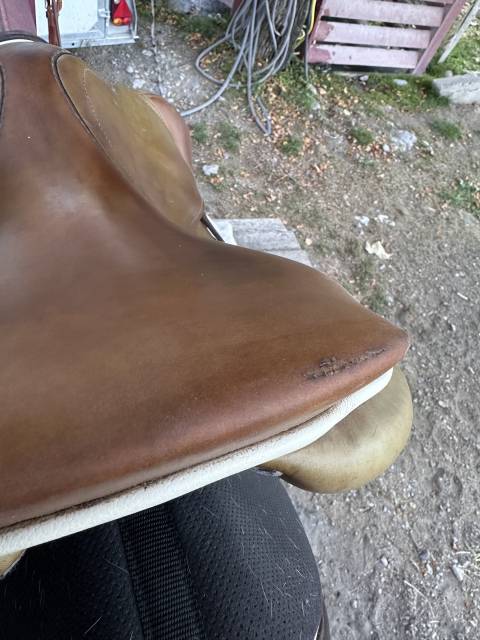 Sella da salto ostacoli GBS  17.5" - 2021