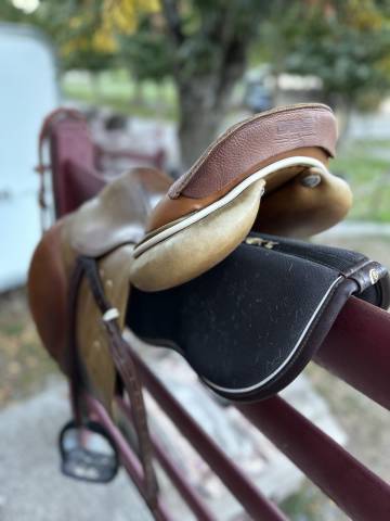 Sella da salto ostacoli GBS  17.5" - 2021