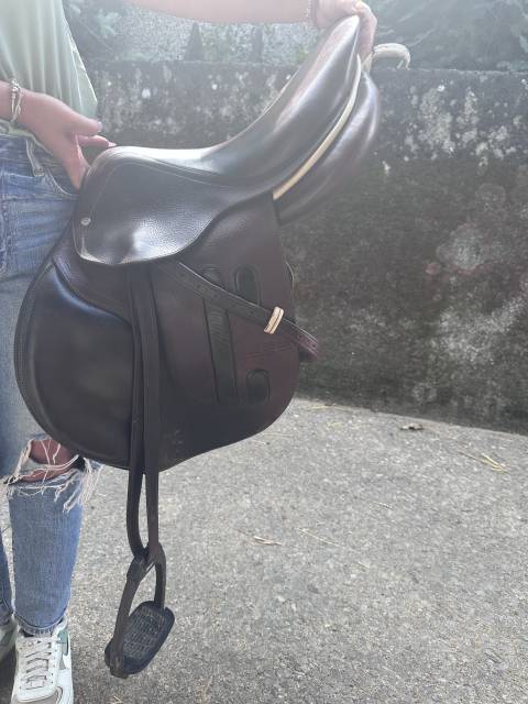 Sella da salto ostacoli GBS  17.5" - 2022