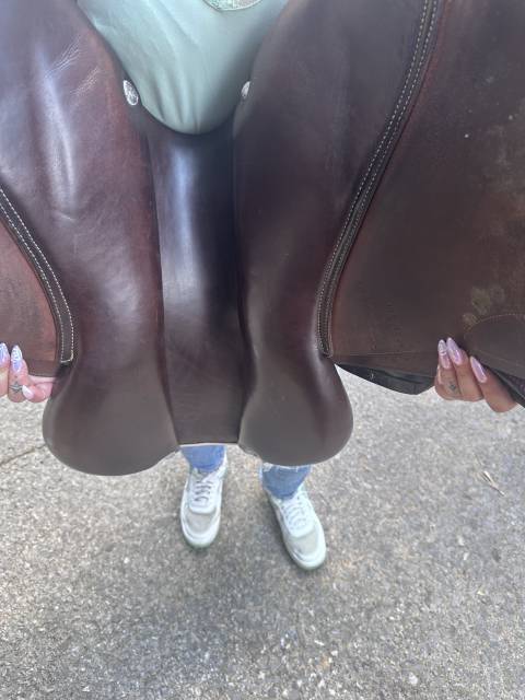 Sella da salto ostacoli GBS  17.5" - 2022