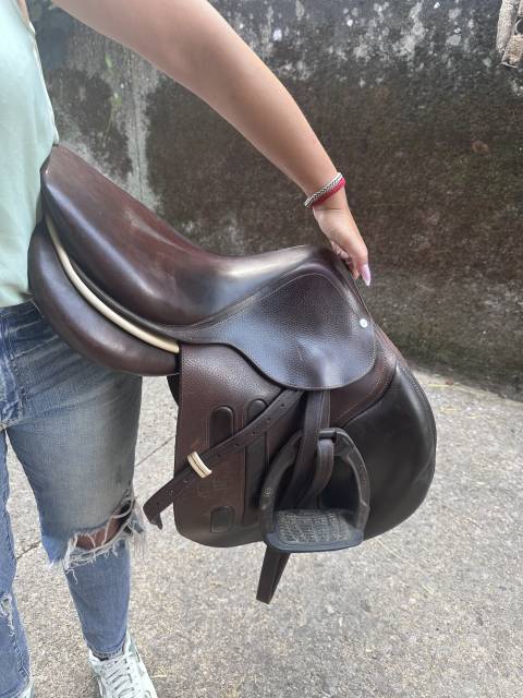 Sella da salto ostacoli GBS  17.5" - 2022