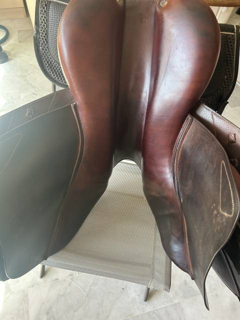 Sella da salto ostacoli CWD  18" - 2013