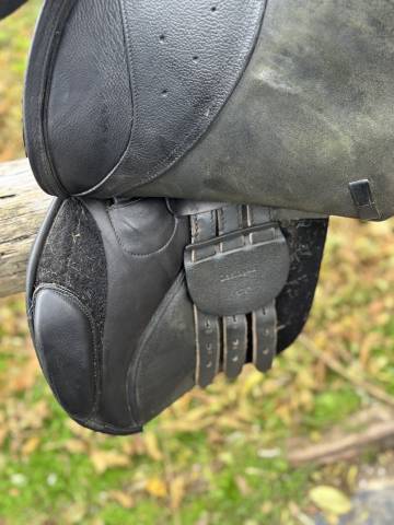 Sella mista Tattini Daslogold 17.5" - 2023