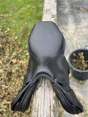 Sella mista Tattini Daslogold 17.5" - 2023