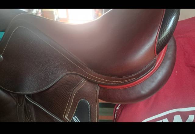 Sella da salto ostacoli CWD  17" - 2018