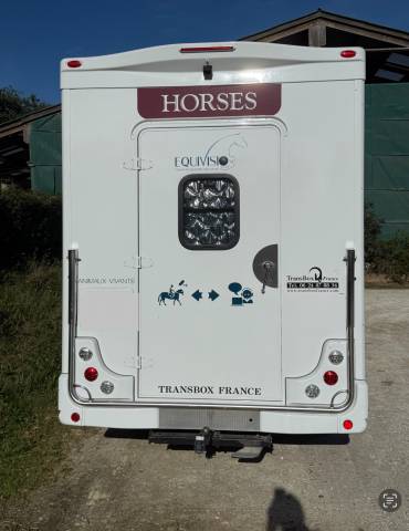 Van per Cavalli Trans Box Master 2025 Nuovo
