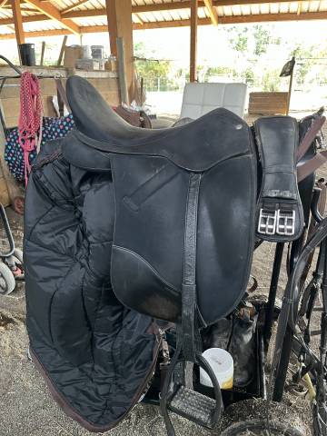 Sella da dressage Wintec  17" - 2018