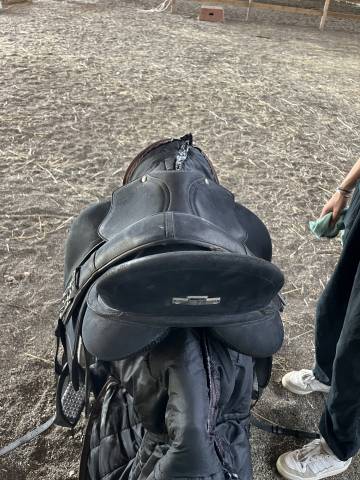 Sella da dressage Wintec  17" - 2018