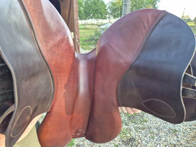 Sella mista CWD  17.5" - 2021