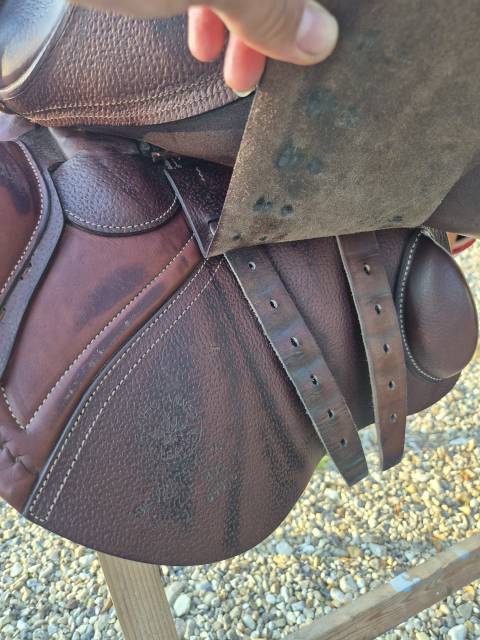 Sella mista CWD  17.5" - 2021