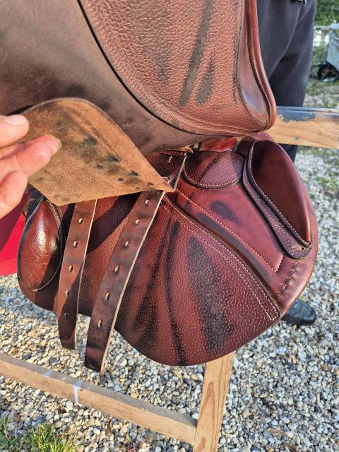 Sella mista CWD  17.5" - 2021