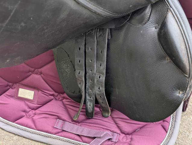 Sella da salto ostacoli Prestige Italia Meredith  17" - 2010