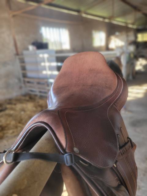 Sella da salto ostacoli GBS  17.5" - 2016