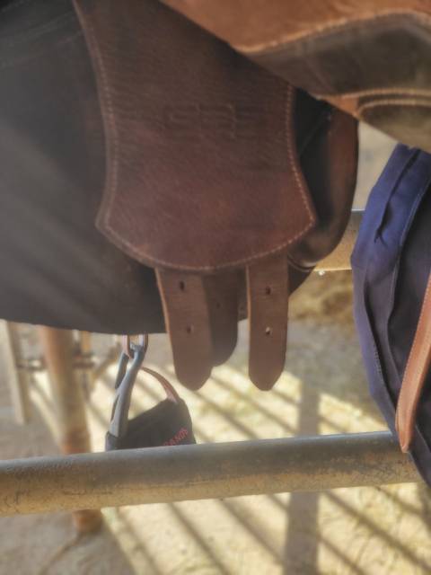 Sella da salto ostacoli GBS  17.5" - 2016