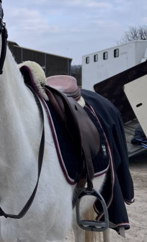 Sella mista Butet  17.5" - 2010