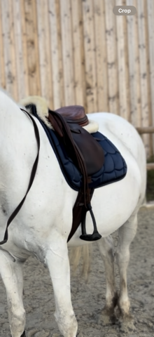 Sella mista Butet  17.5" - 2010