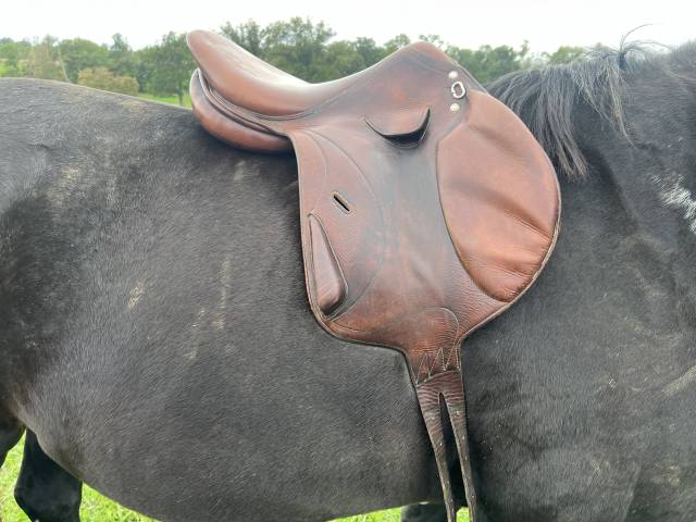 Sella da cross Brunet-Pineau Simple quartier polyvalente 17.5" - 2010