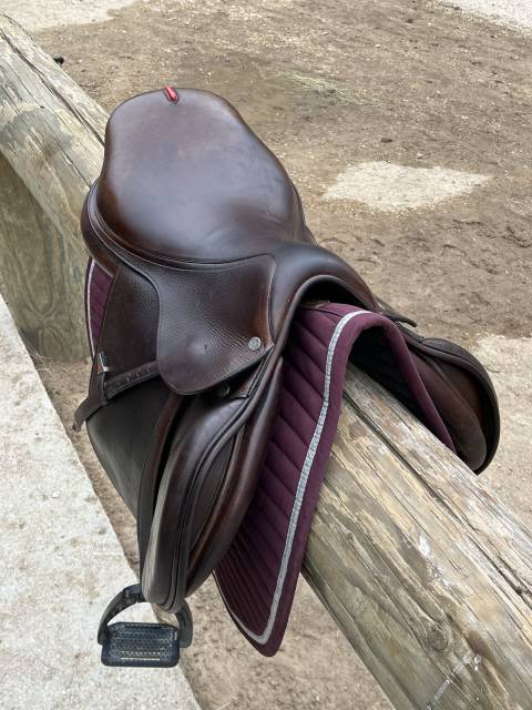 Sella da salto ostacoli Equipe  16.5" - 2023